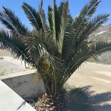 빌라 On The Beach, Sarpakis *