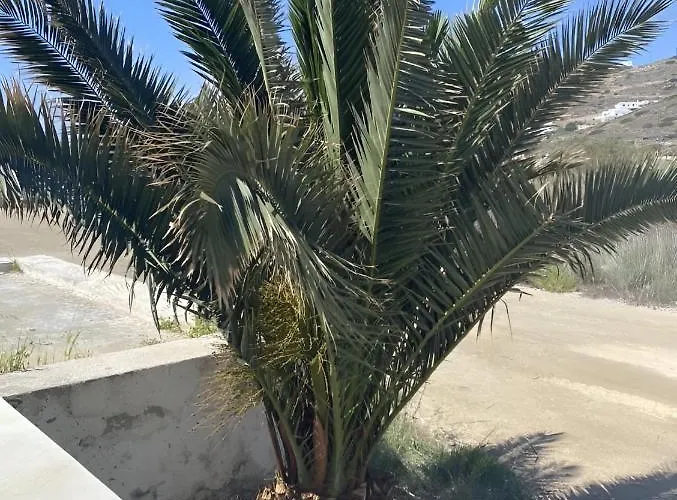 וילה On The Beach, Sarpakis *